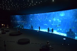 DSC_0099