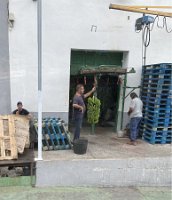 IMG_5141-1
