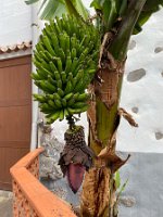 IMG_5147