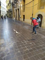 IMG_20200302_091719