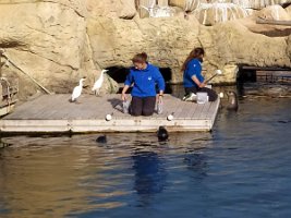 IMG_20200303_153100_1
