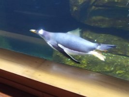 IMG_20200303_161527