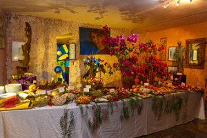 IMG_2051