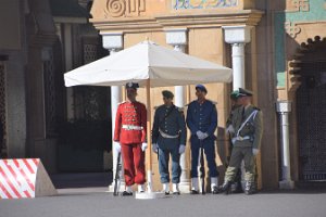 DSC_0379 (2)