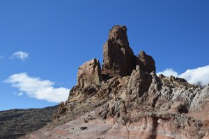 DSC_0560